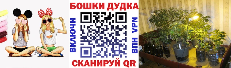 Каннабис Amnesia  МЕГА ссылки  Ишим 